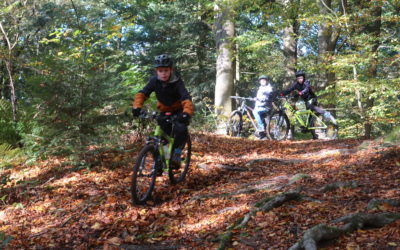 Mountainbike-Schnuppertour im Heseler Wald