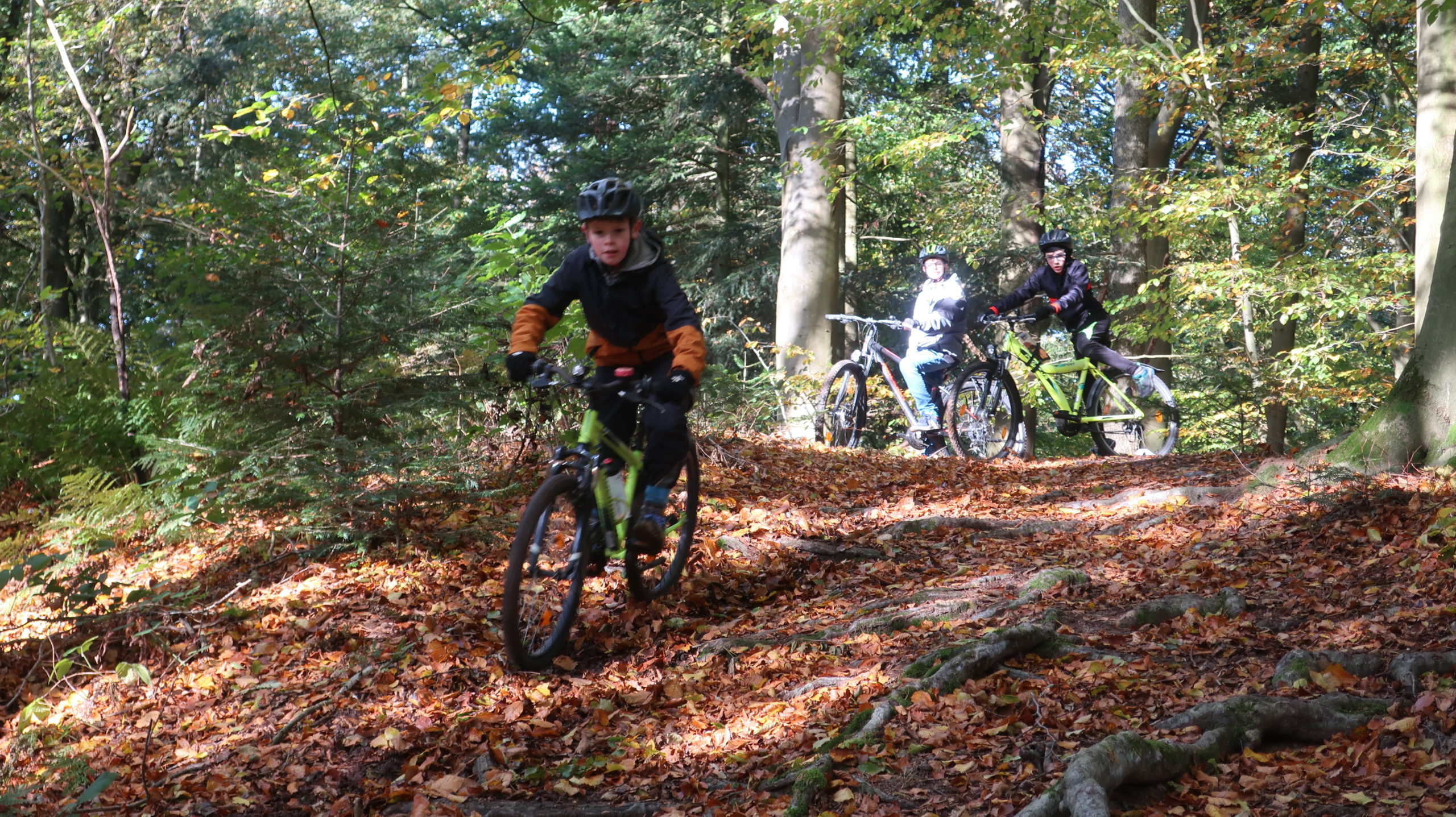 Im Heseler Wald zum Mountainbike-Schnupptertraining