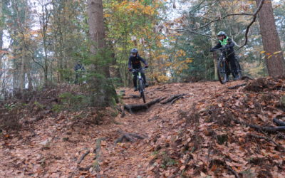 2. Mountainbike-Schnuppertour durch den Heseler Wald