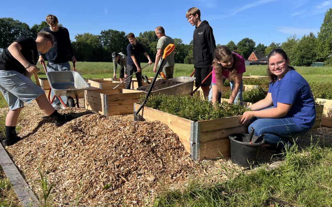 Zwischen Kartoffeln, Rindenmulch und Liguster
