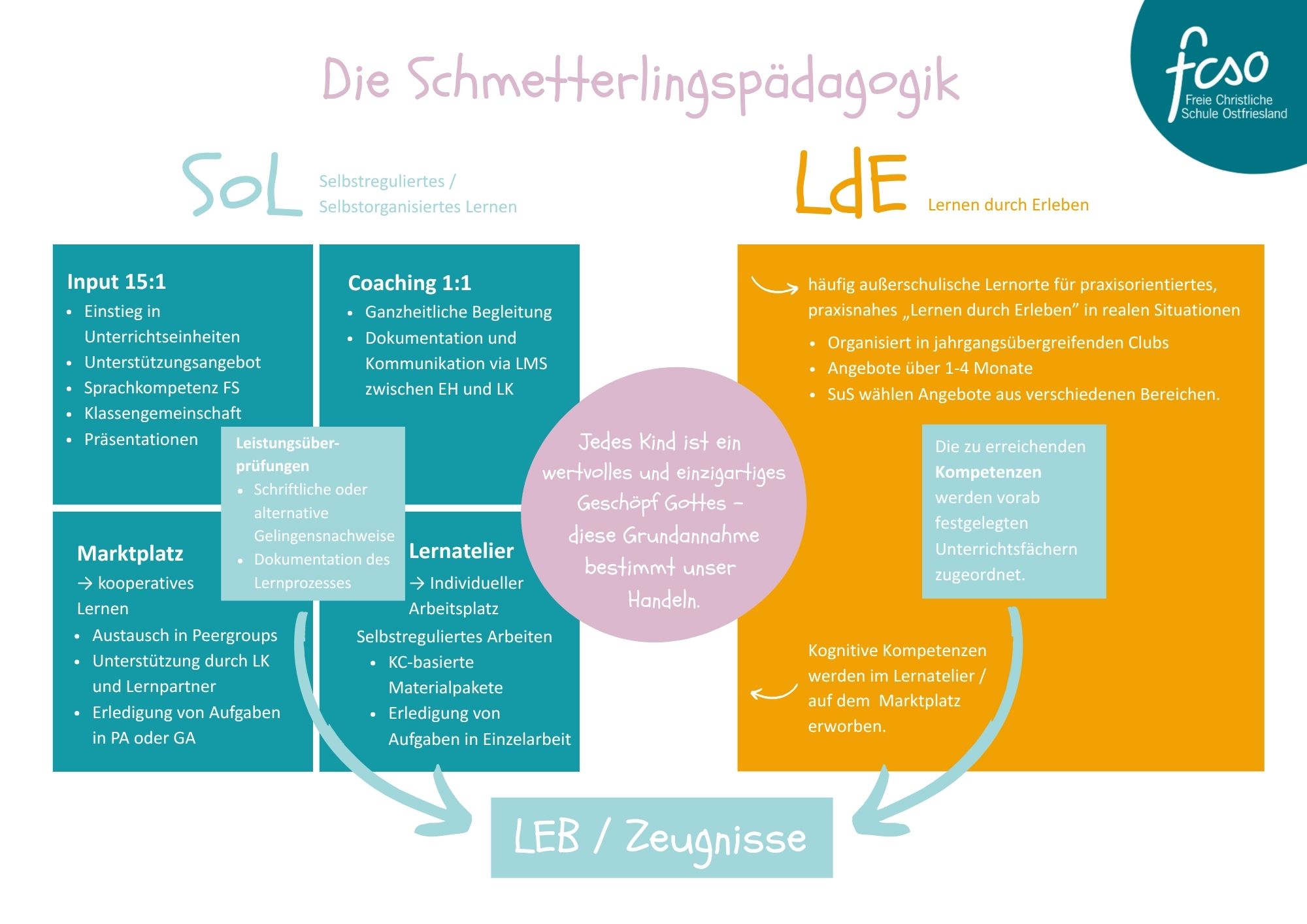 Schaubild zur Schmetterlingspädagogik