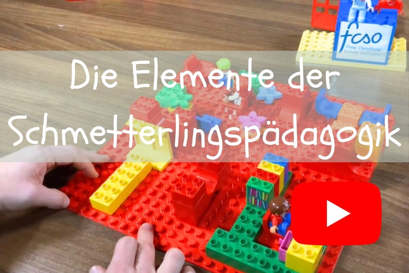Video zur Schmetterlingspaedagogik